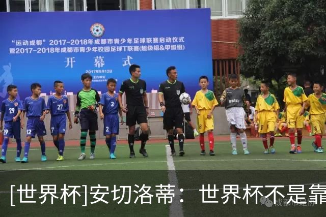 [世界杯]安切洛蒂：世界杯不是靠第一场比赛就能赢下的